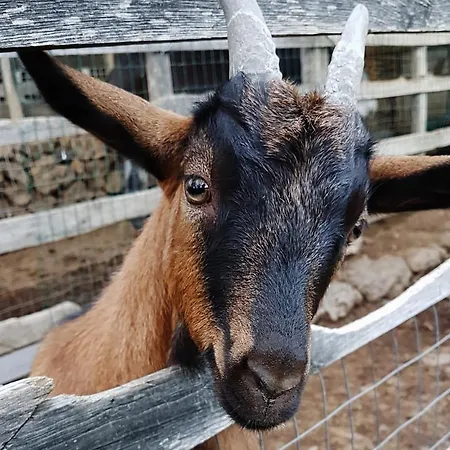 Alloggio per agriturismo Dolcetna