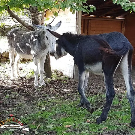 Alloggio per agriturismo Dolcetna SantʼAlfio
