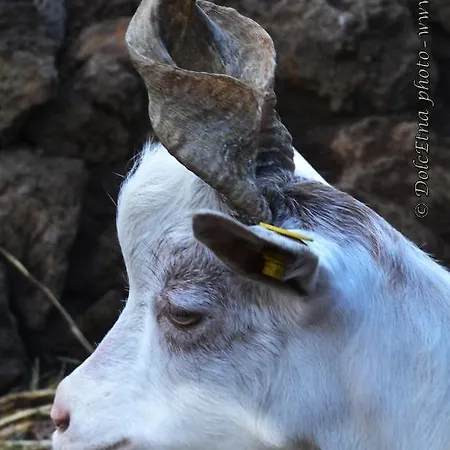 Alloggio per agriturismo Dolcetna