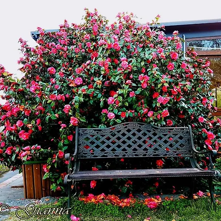 Dolcetna Alloggio per agriturismo